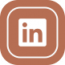 linked-in icon